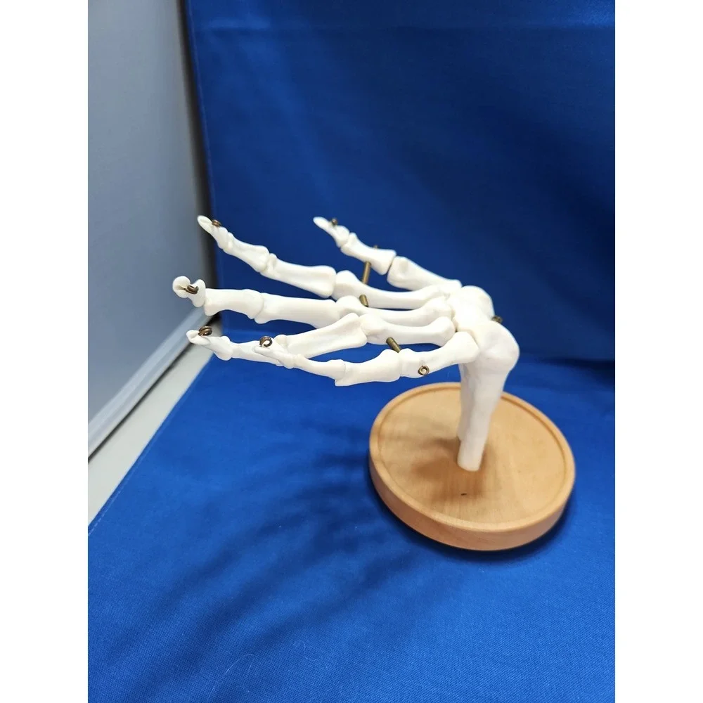 Skeleton Hand Jewelry Stand Ring Necklace Holder Gothic Halloween Life-Size